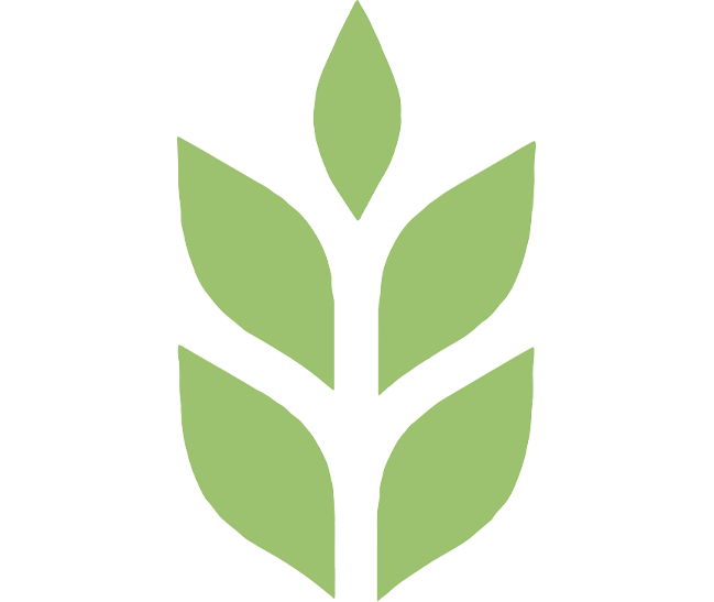 pentec_home_icon_6